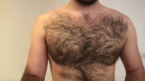 brotein_pls